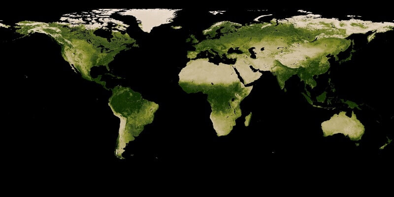 Composite satellite image showing the distribution of global vegetation on land during October 2019.