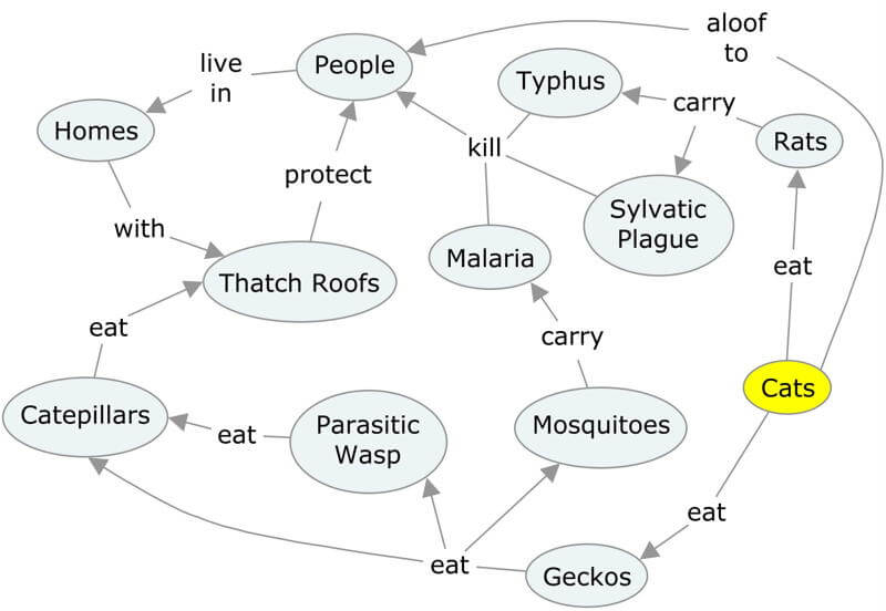 Concept map of a village of people living in Borneo prior to using an insecticide to kill mosquitoes.