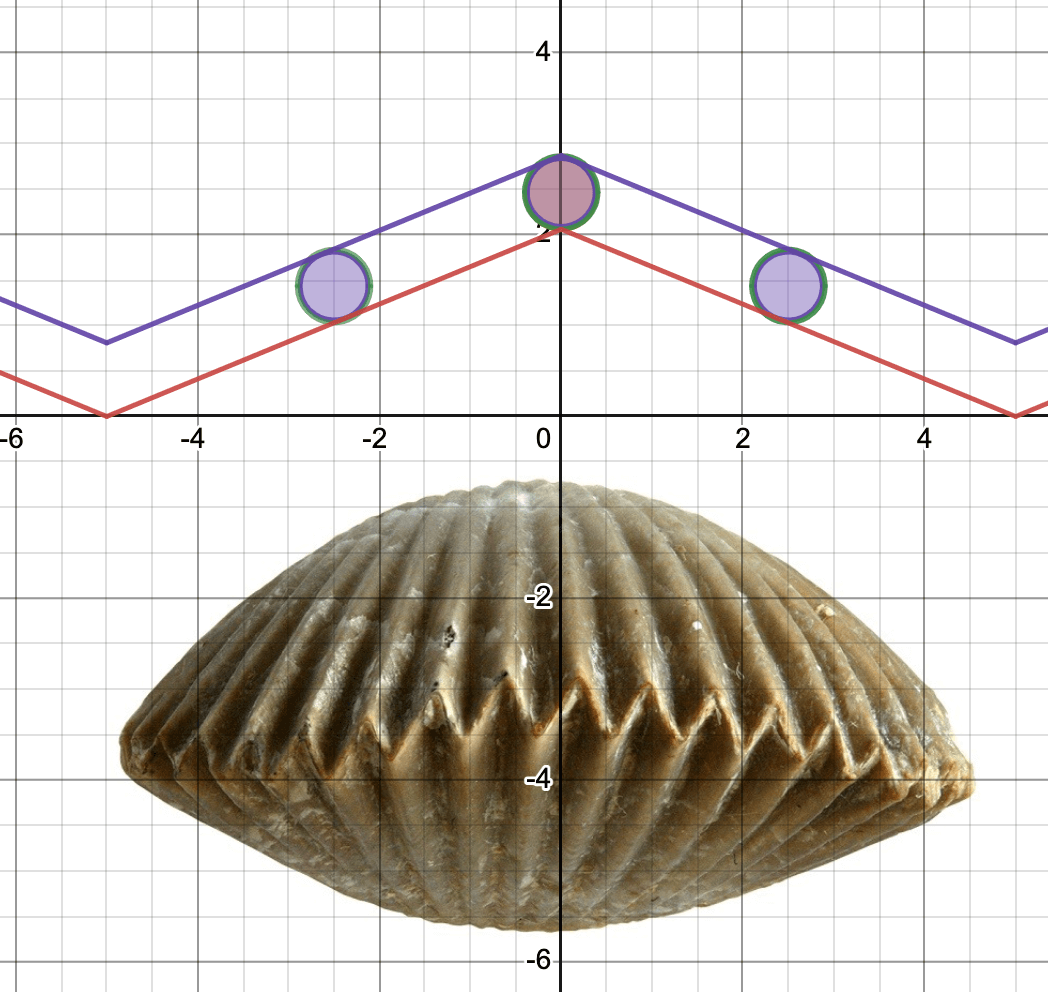 Screenshot of the crenulated shell model.