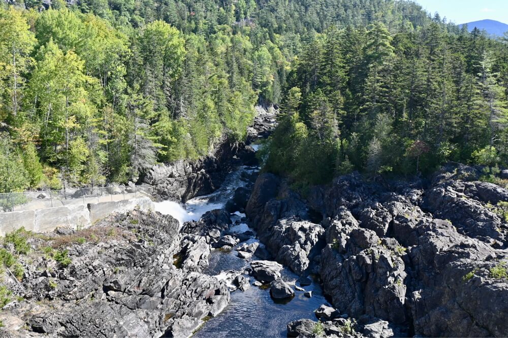 Picture of basalt, river, and forest at the geology field site.